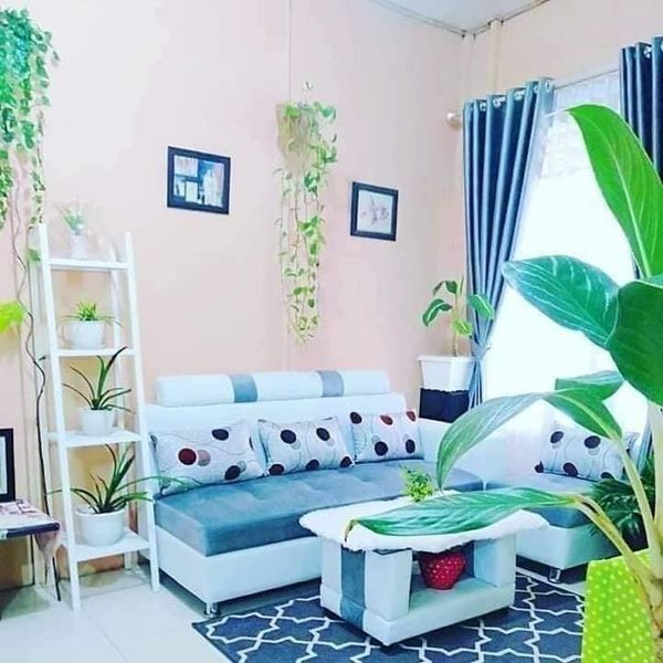 Living Room Color Ideas (1)